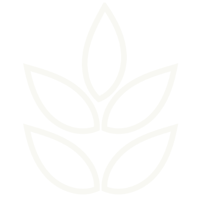 White floral pattern on a white background