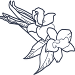 Line drawing of a butterfly with floral elements on a white background