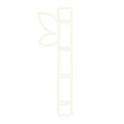 sugarcane line drawing