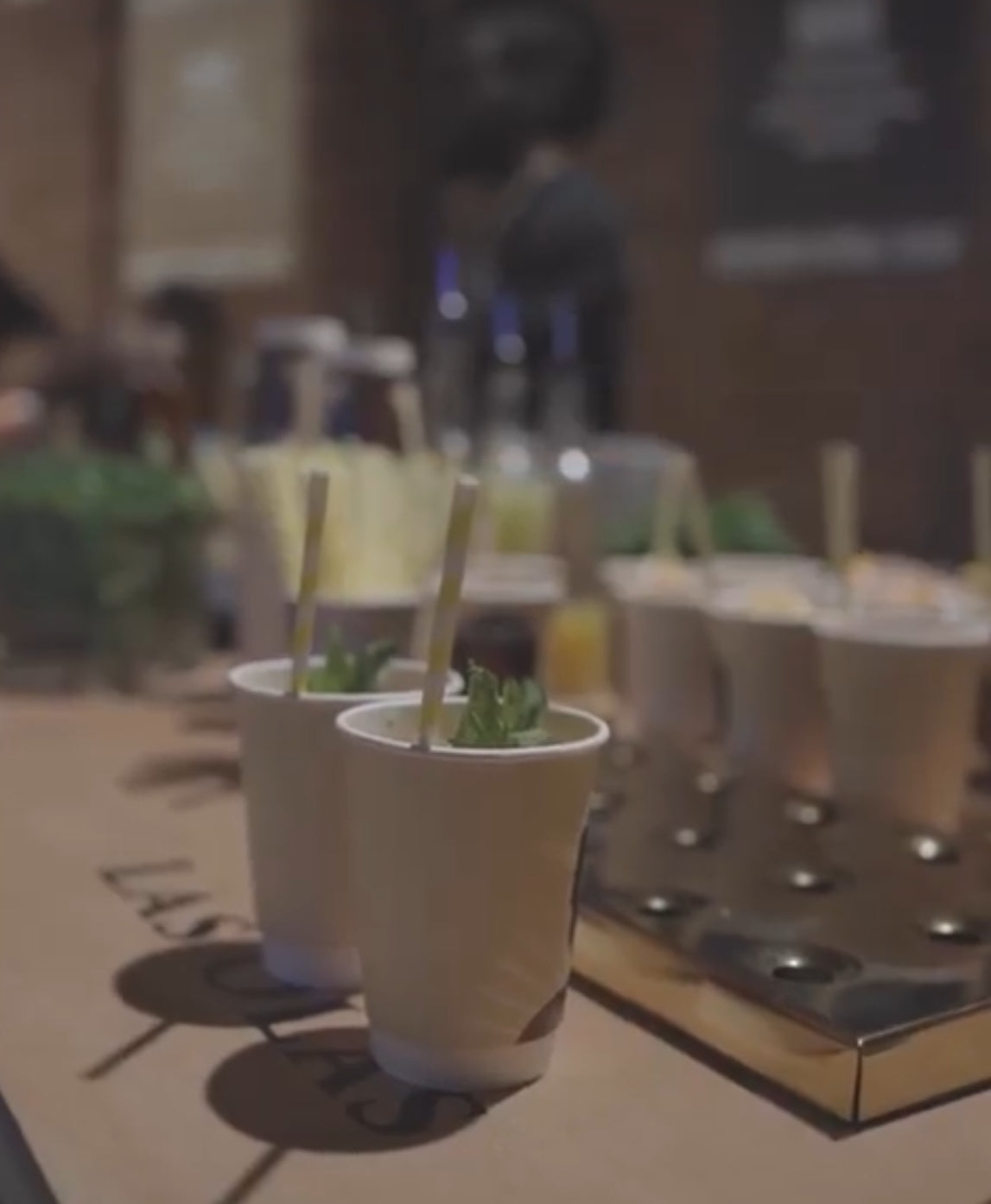 Row of small potted plants on a table with a blurred background
